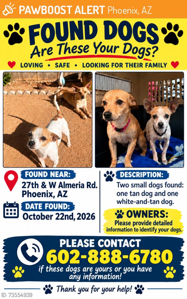 Found/Stray Unknown Dog last seen 27th & W Almeria Rd., Phoenix, AZ 85003