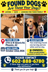 Found/Stray Unknown Dog last seen 27th & W Almeria Rd., Phoenix, AZ 85003