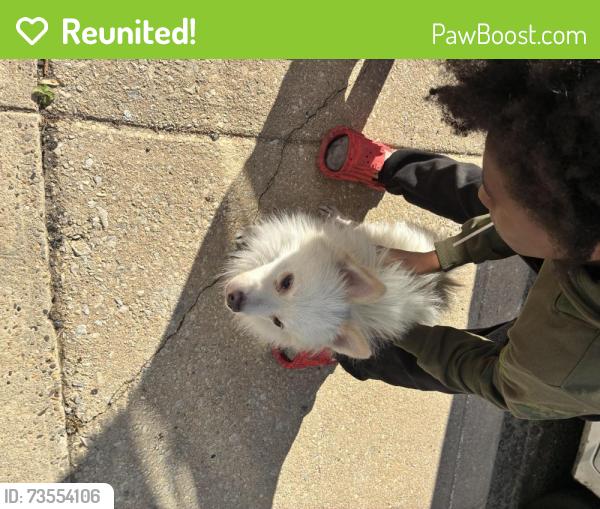 Reunited Male Dog last seen Near n 18th st, Philadelphia, PA 19132