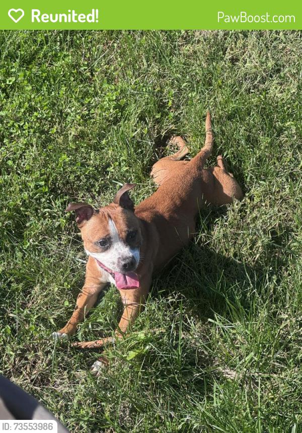 Reunited Female Dog last seen Oxbow Pl, Oxbow Pl,  20724
