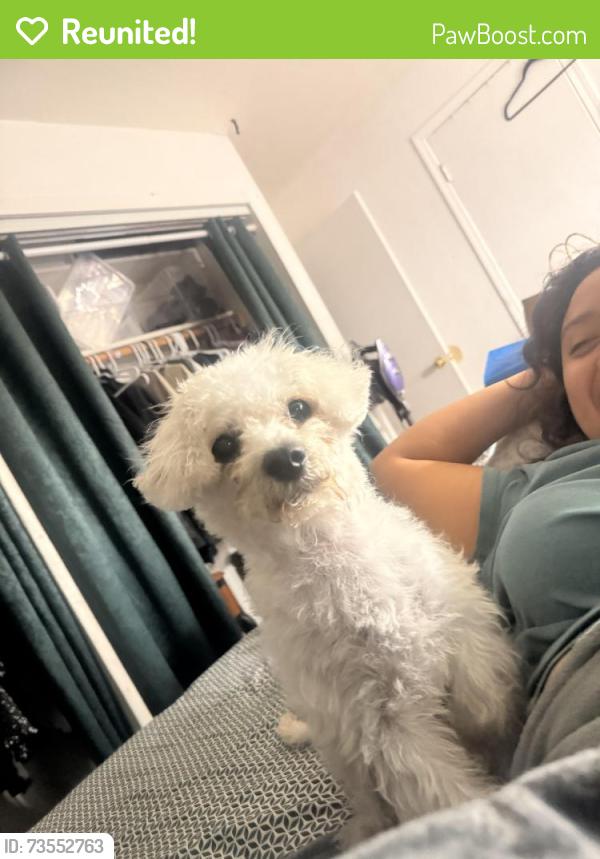 Reunited Male Dog last seen Bellam bulevar, San Rafael, CA 94901