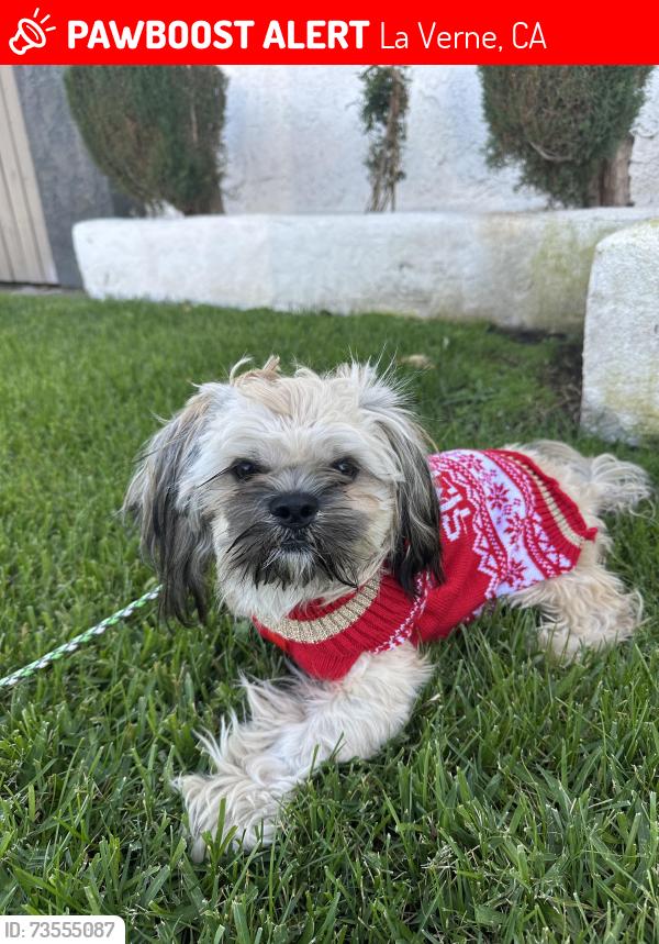 Lost Male Dog last seen Wheeler, La Verne, CA 91750