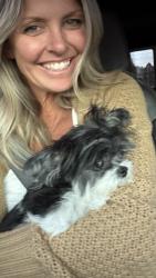 Lost Male Dog last seen Ponderosa, Evergreen, CO 80439