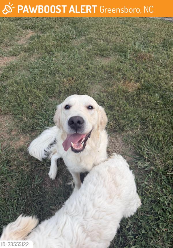 Found/Stray Female Dog last seen Bur Mill Park, Greensboro, NC 27410
