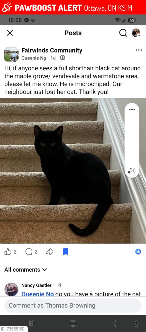 Lost Male Cat last seen warmstone, Ottawa, ON K2S 0M6