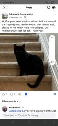 Lost Male Cat last seen warmstone, Ottawa, ON K2S 0M6