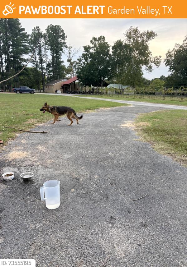 Found/Stray Male Dog last seen Near and 110, Garden Valley, TX 75771