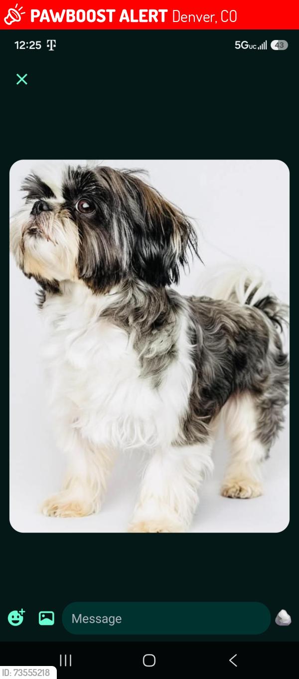 Lost Unknown Dog last seen 6th and Sheridan, Denver, CO 80204