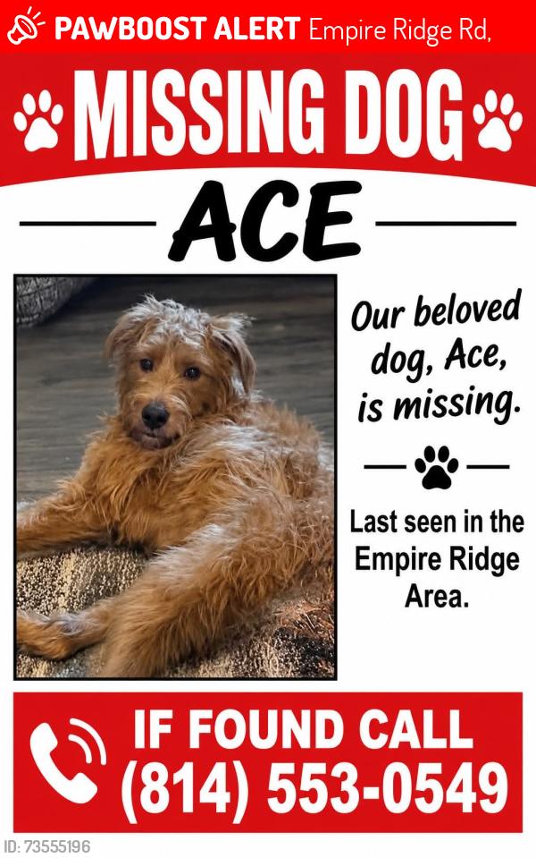 Lost Male Dog last seen Gamelands between Brockway and Ridgway, PA, Empire Ridge Rd,  15824