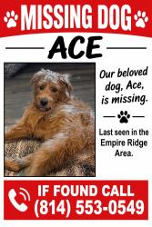 Lost Male Dog last seen Gamelands between Brockway and Ridgway, PA, Empire Ridge Rd,  15824