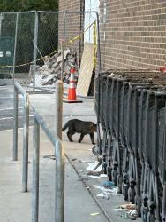 Found/Stray Unknown Cat last seen Aldi parking lot, Nashville, TN 37076