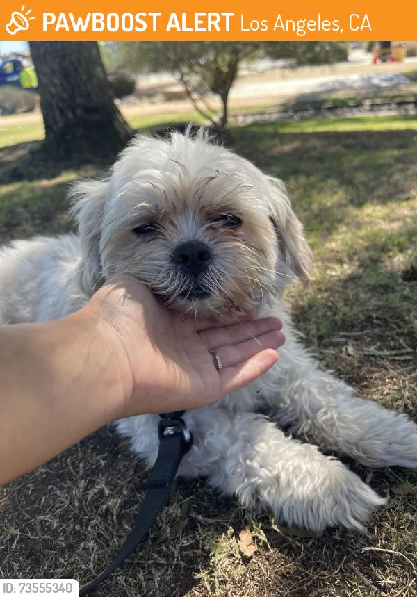 Found/Stray Unknown Dog last seen Los Angeles historic state park, Los Angeles, CA 90012