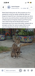 Lost Female Cat last seen W I St, Los Angeles, CA 90744