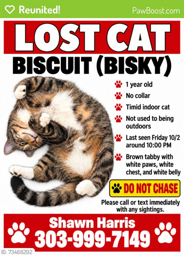 Reunited Male Cat last seen N Pershing St & W Mecklin St, Fayetteville, AR 72704