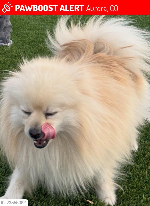 Lost Male Dog last seen Sable blvd-, Aurora, CO 80011