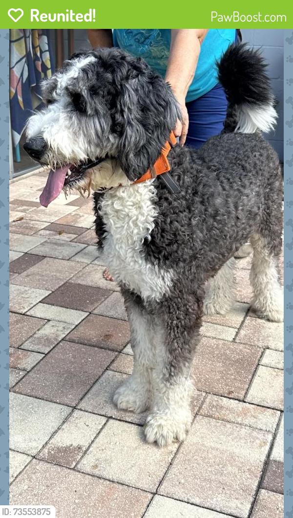 Reunited Male Dog last seen Spencer and Tarpon Springs Rd, Spencer Rd,  77084