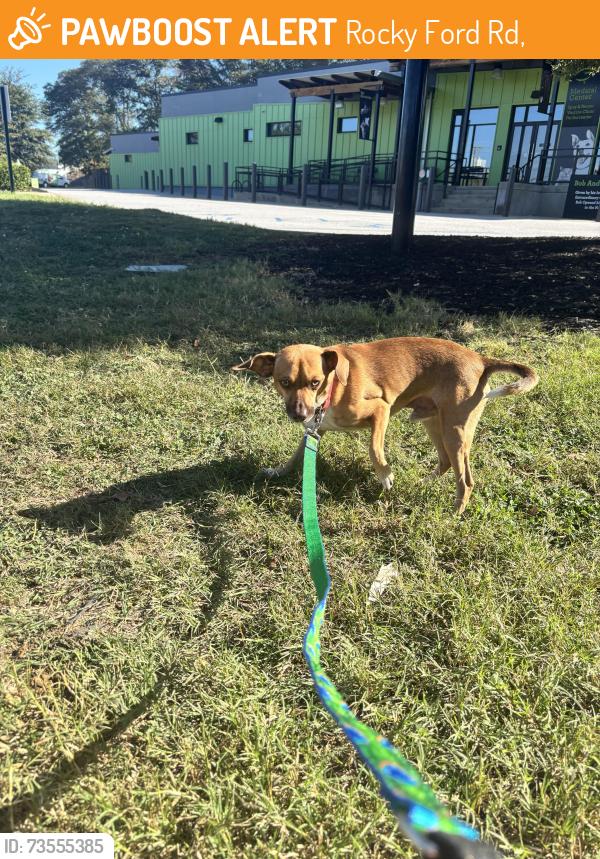 Found/Stray Male Dog last seen Providence Church Rd, Rocky Ford Rd,  30553