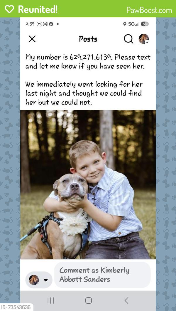 Reunited Female Dog last seen Curd Rd, Mt. Juliet, TN 37122