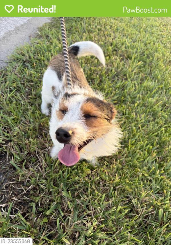 Reunited Unknown Dog last seen Kestor, Port St. Lucie, FL 34953
