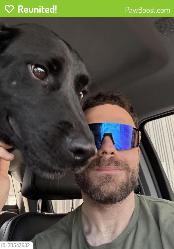 Reunited Male Dog last seen Medowlane park, Omaha, NE 68154