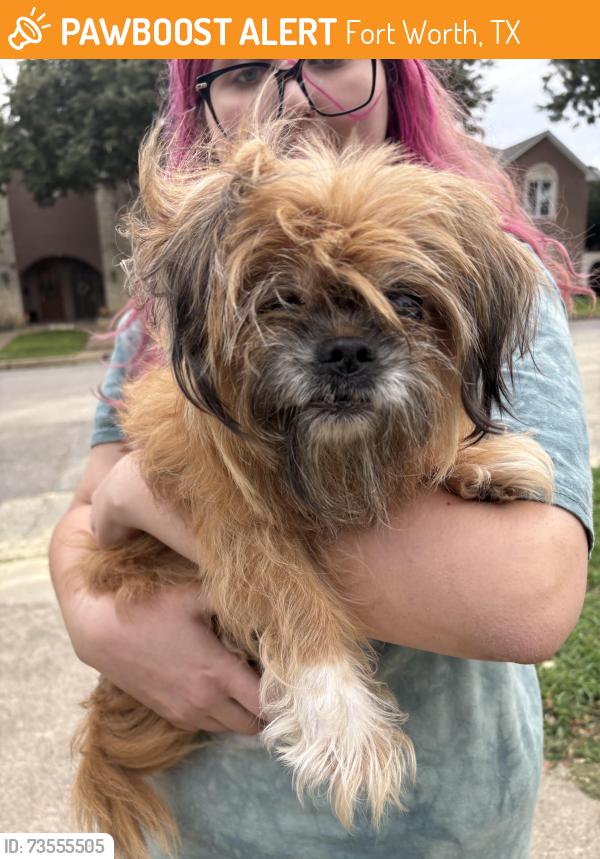 Found/Stray Unknown Dog last seen Near, Fort Worth, TX 76107
