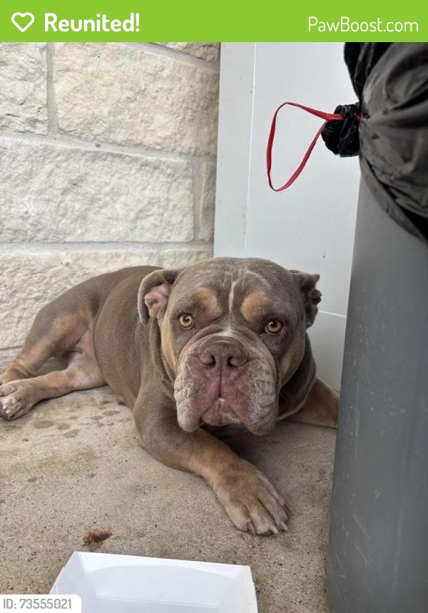 Reunited Female Dog last seen West Adams ave, and oak trail in belton. She was found at lakeside grocery., Oak Trail,  76513