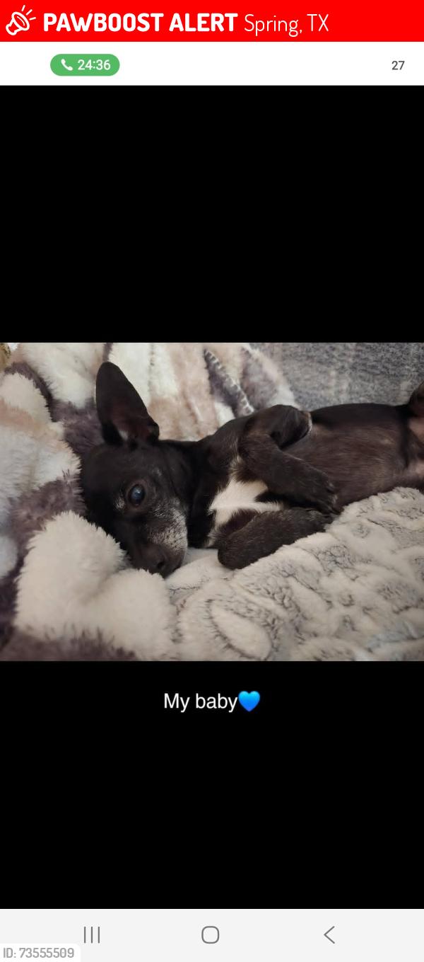 Lost Male Dog last seen Wood River, Spring, TX 77373