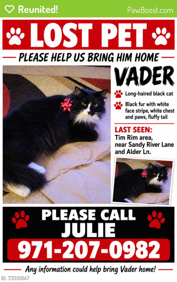 Reunited Male Cat last seen Sandy River Lane, Alder Ln Rhododendron, Rhododendron, OR 97049