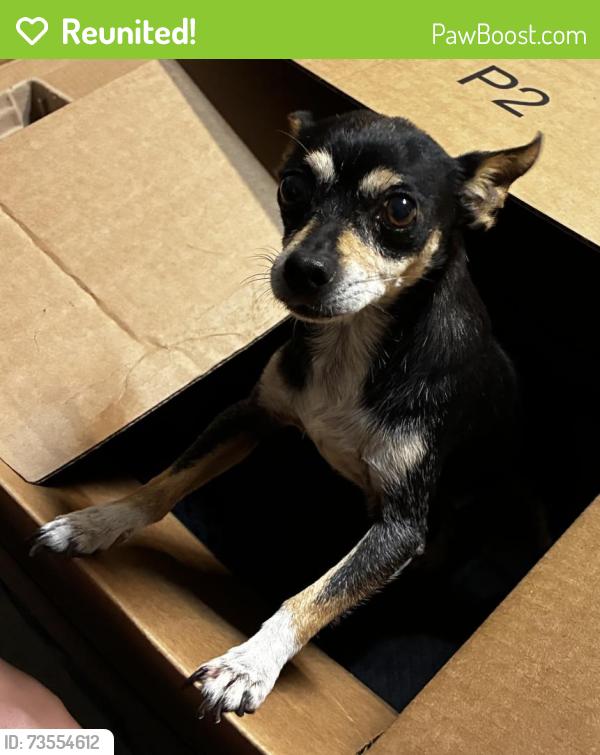 Reunited Male Dog last seen Near park/playground., Patterson, CA 95363