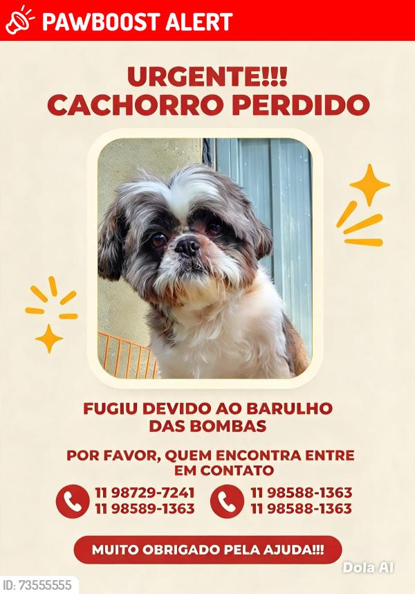 Lost Male Dog last seen Céu são Mateus, Jardim da Conquista, SP 08343-130