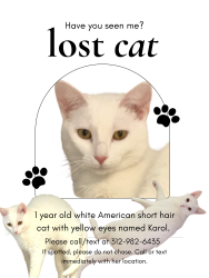 Reunited Female Cat last seen Plainfield, Plainfield, IL 60586