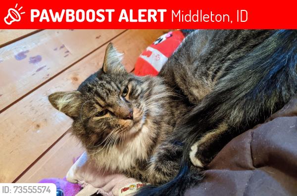 Lost Male Cat last seen Cemetary and Purple Sage, Middleton, ID 83644