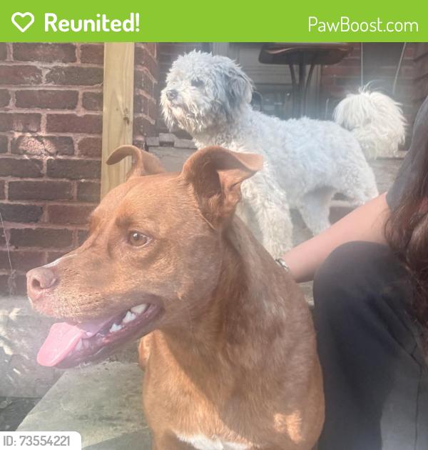 Reunited Female Dog last seen Near E 5th St, Chillicothe, Oh, Chillicothe, OH 45601