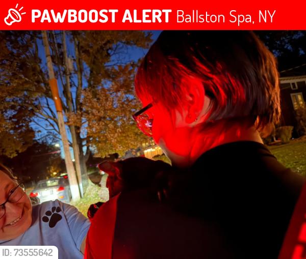 Lost Male Cat last seen Near E High St Ballston Spa, Ballston Spa, NY 12020