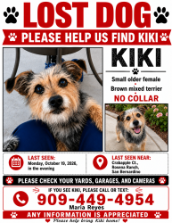 Lost Female Dog last seen Crabapple ct, San Bernardino, CA 92407