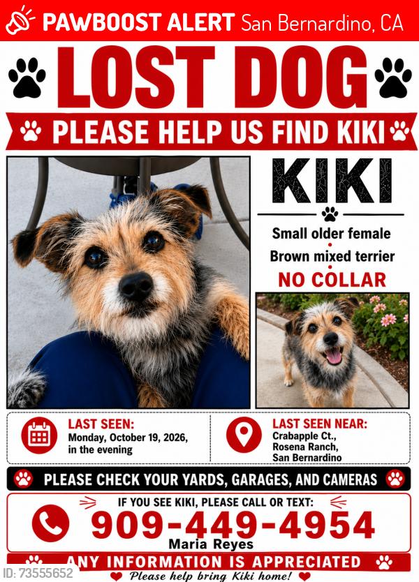 Lost Female Dog last seen Crabapple ct, San Bernardino, CA 92407