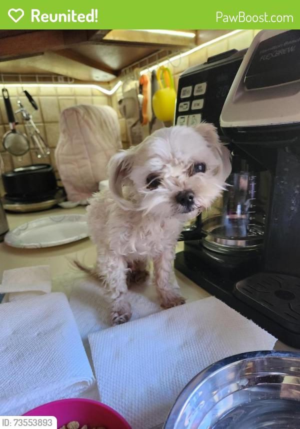 Reunited Unknown Dog last seen Gaylord Glen, Waterbury, CT 06708