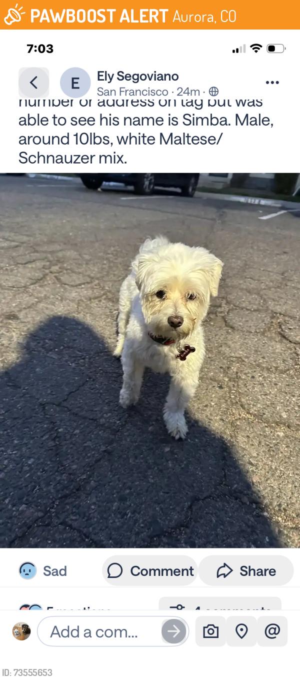 Found/Stray Male Dog last seen Blackhawk way and Iowa San Francisco s, Aurora, CO 80012