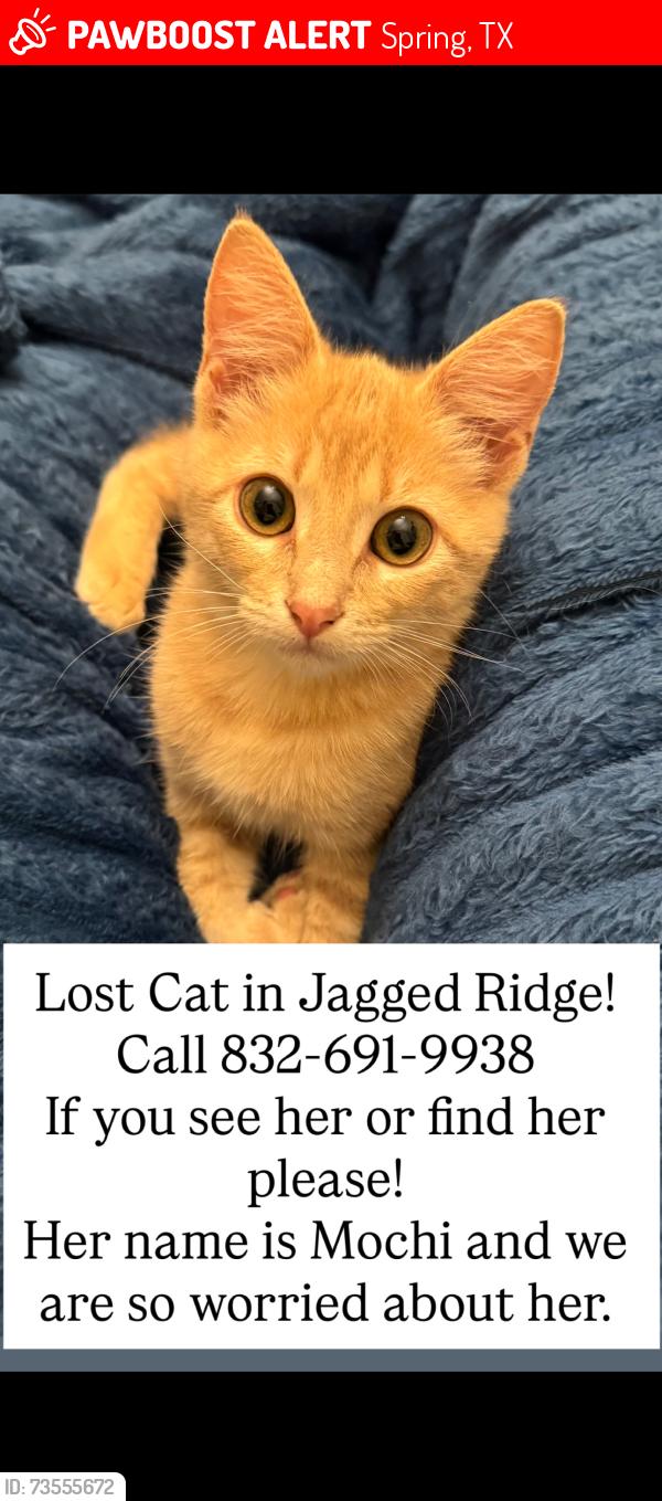 Lost Female Cat last seen Creekside Green Drive, Spring, TX 77389