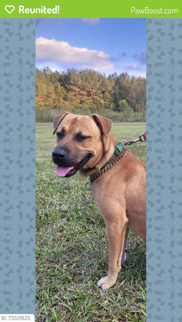 Reunited Male Dog last seen Bloomery Road and Packhouse Road, Wilson, NC 27896