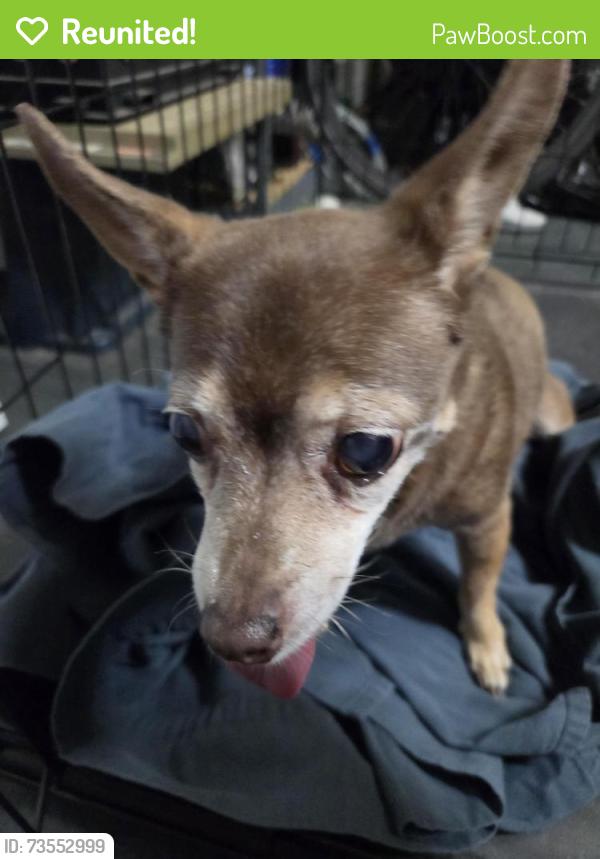 Reunited Female Dog last seen Near S Buffalo Dr, Las Vegas, NV 89113, Las Vegas, NV 89113