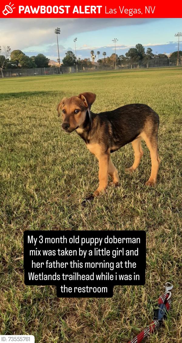 Lost Female Dog last seen Duck creek trailhead, Las Vegas, NV 89122