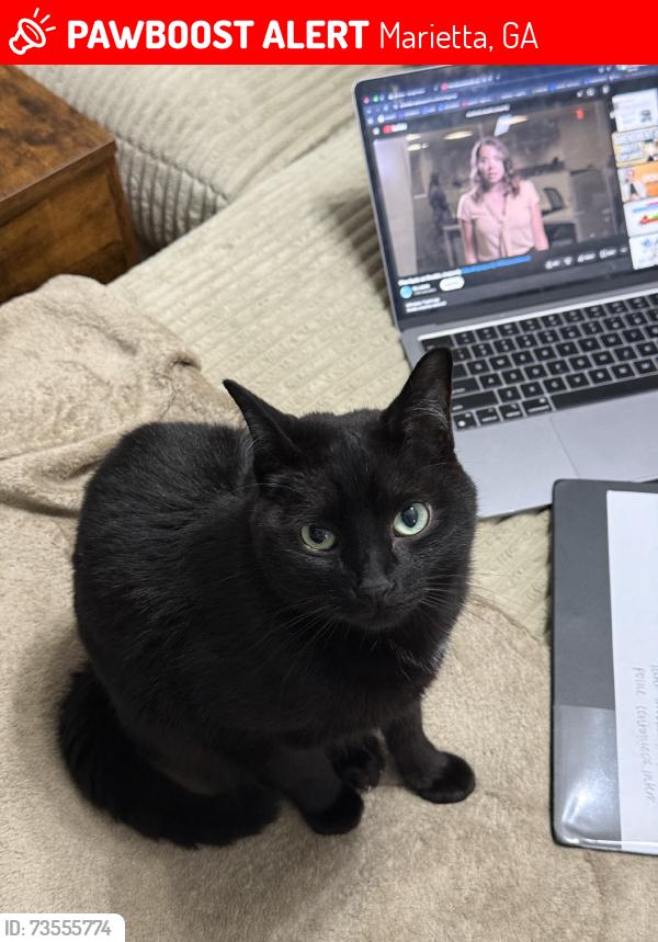 Lost Male Cat last seen Scripps Ct SW, Marietta, GA 30008