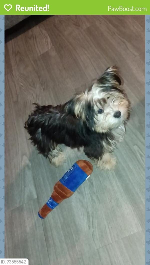 Reunited Male Dog last seen Lake Forest Mobile home park, Sioux City, IA 51105