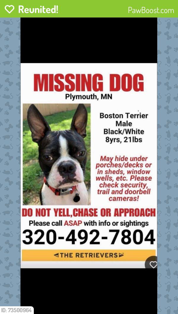 Reunited Male Dog last seen 28th and West Medicine Lake Drive Plymouth, MN, Plymouth, MN 55441