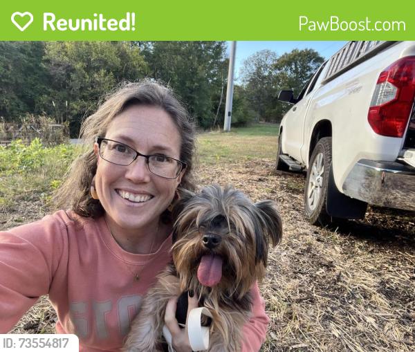 Reunited Male Dog last seen Saluda Lake Rd and Elmhurst four way stop, Elmhurst Rd,  29617