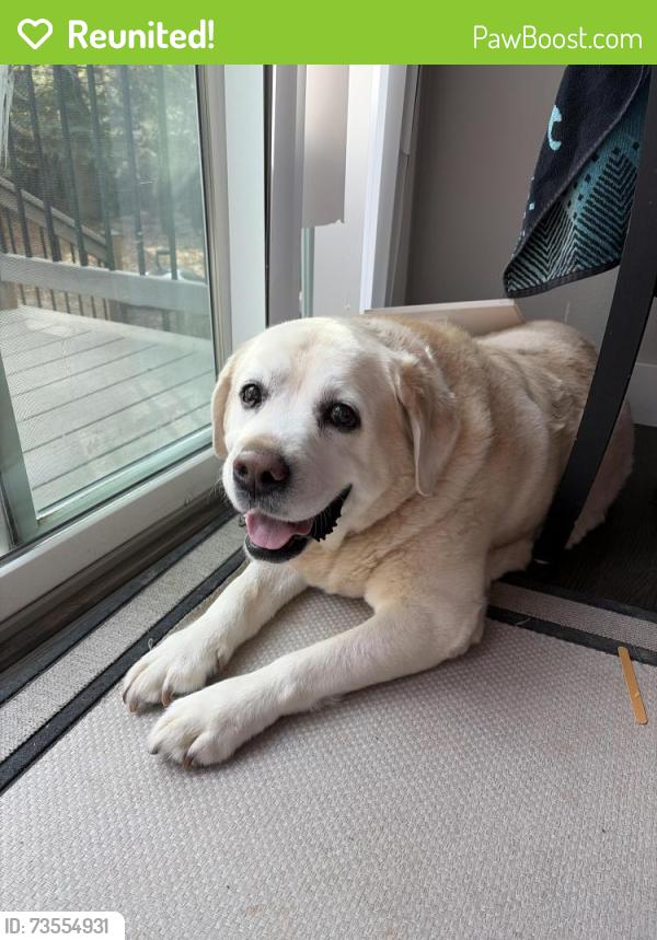 Reunited Male Dog last seen Hiawatha court, Fort Collins, CO 80525