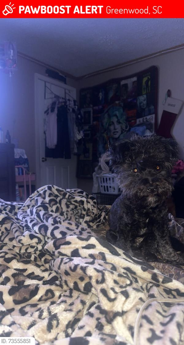 Lost Female Dog last seen whisker creak and paw, Greenwood, SC 29646