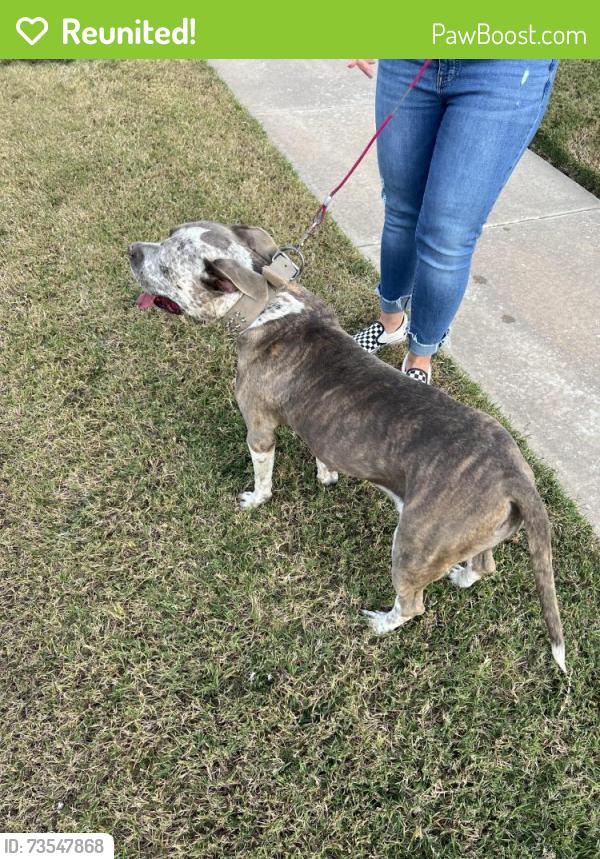 Reunited Female Dog last seen 141sr and Sheridan, Bixby, OK 74008