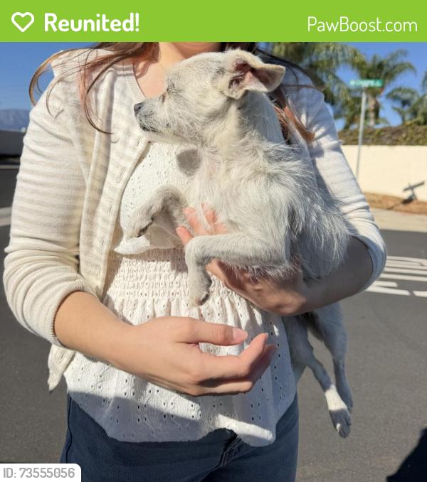 Reunited Female Dog last seen Southridge, Fontana, CA 92337